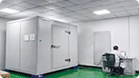 R & D